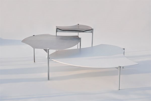 Gallotti e Radice_030320261942(1)